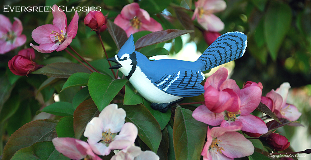 Blue Jay perching among blue and white Veronica flowers with wicker basket.